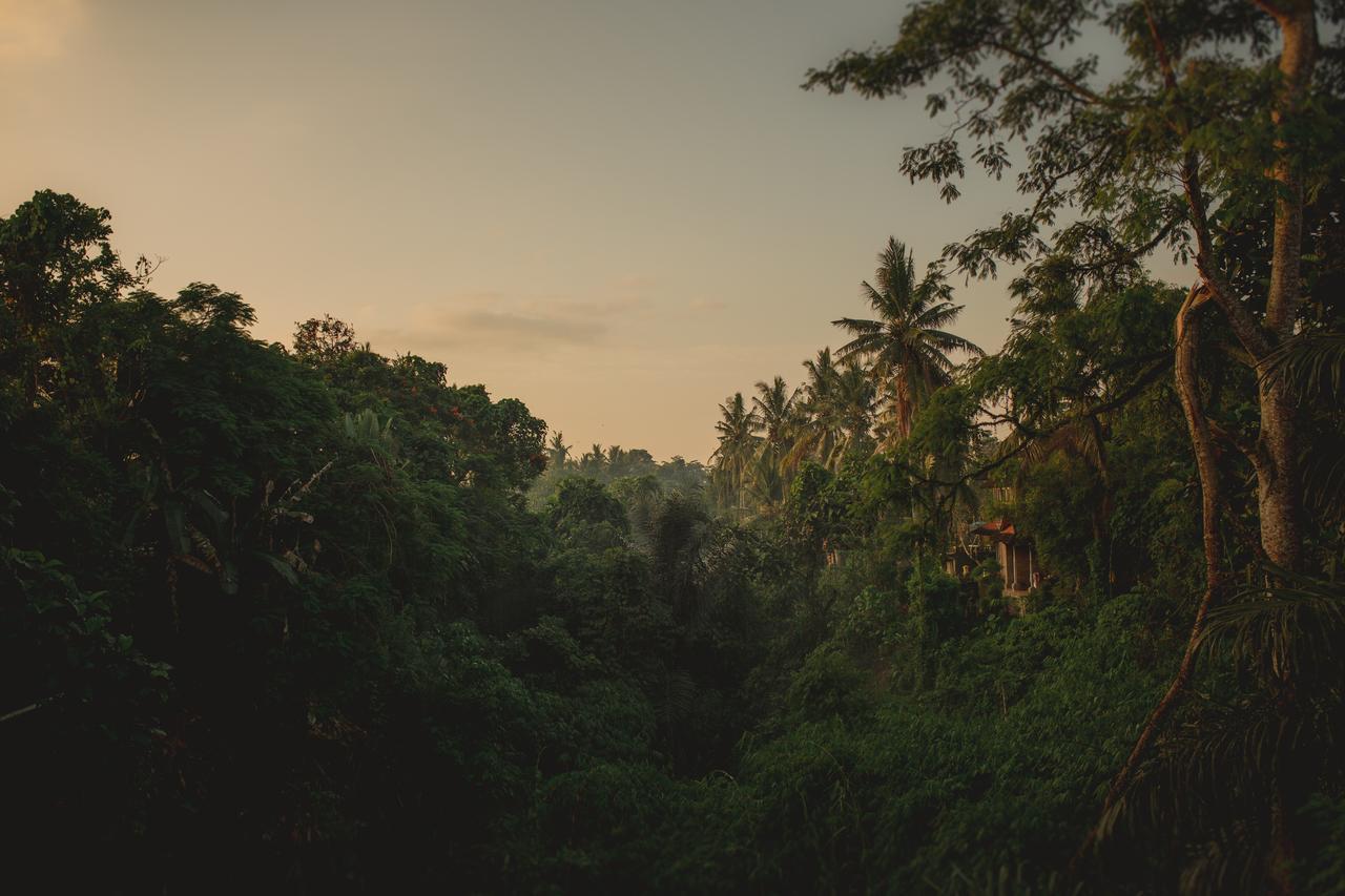 B Saya Villas Ubud Exterior foto